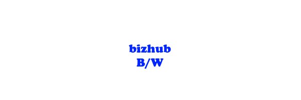 BIZHUB